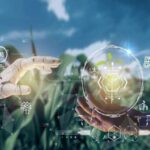 Los robots ayudan a los agricultores a mejorar la productividad en cultivos